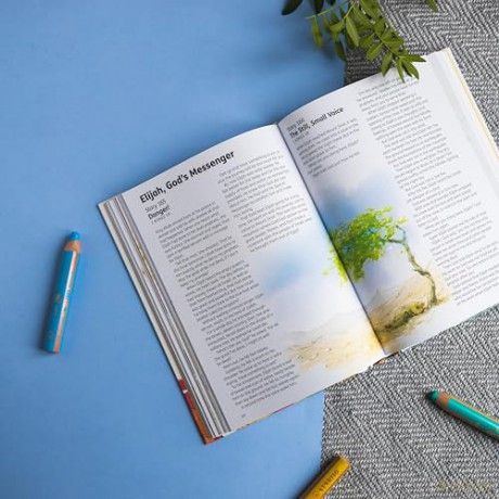 Childrens Bible In 365 Stories [KSIĄŻKA]