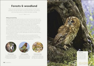 Chris Packhams Birdwatching Guide - Chris Packham [KSIĄŻKA]