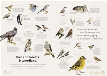 Chris Packhams Birdwatching Guide - Chris Packham [KSIĄŻKA]