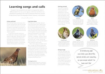 Chris Packhams Birdwatching Guide - Chris Packham [KSIĄŻKA]