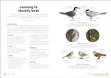 Chris Packhams Birdwatching Guide - Chris Packham [KSIĄŻKA]
