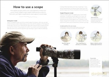 Chris Packhams Birdwatching Guide - Chris Packham [KSIĄŻKA]