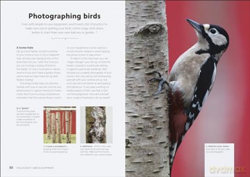 Chris Packhams Birdwatching Guide - Chris Packham [KSIĄŻKA]