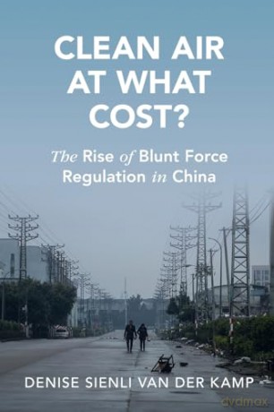 Clean Air At What Cost - De Denise Sienli Va [KSIĄŻKA]