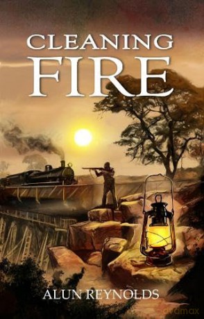 Cleaning Fire - lun Reynolds [KSIĄŻKA]