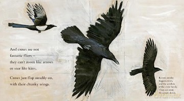 Clever Crow - Chris Butterworth [KSIĄŻKA]