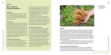 Climate Change Resilient Veg Garden - Kim Stoddart [KSIĄŻKA]