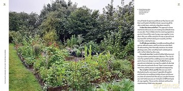 Climate Change Resilient Veg Garden - Kim Stoddart [KSIĄŻKA]