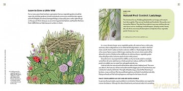 Climate Change Resilient Veg Garden - Kim Stoddart [KSIĄŻKA]