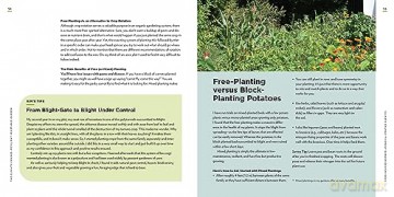 Climate Change Resilient Veg Garden - Kim Stoddart [KSIĄŻKA]