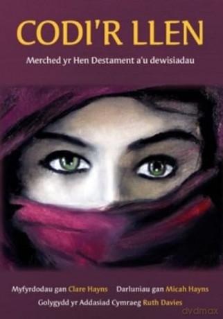Codi'r Llen - Merched yr Hen Destament a'u Dewisiadau - lare Hayns [KSIĄŻKA]