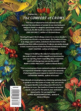 Comfort Of Crows [KSIĄŻKA]