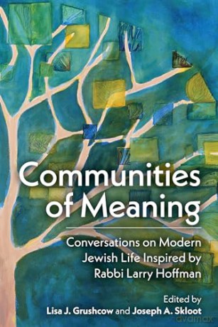 Communities Of Meaning Conversations On - J. A. Skloot [KSIĄŻKA]