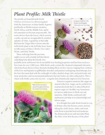 Complete Guide To Natural Home Remedies - Melissa Corkhill [KSIĄŻKA]