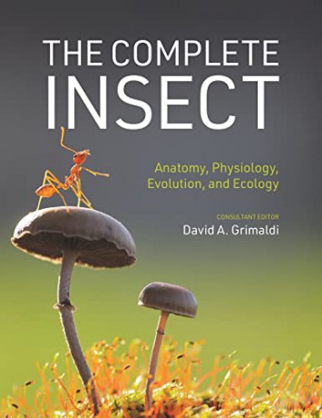 Complete Insect - David A Grimaldi [KSIĄŻKA]