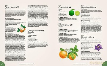 Complete Language Of Herbs - S Theresa Dietz [KSIĄŻKA]