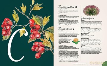 Complete Language Of Herbs - S Theresa Dietz [KSIĄŻKA]
