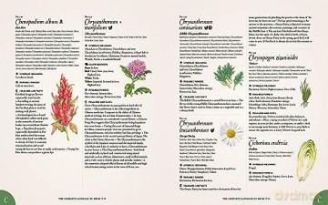 Complete Language Of Herbs - S Theresa Dietz [KSIĄŻKA]