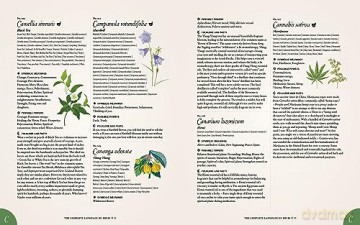 Complete Language Of Herbs - S Theresa Dietz [KSIĄŻKA]