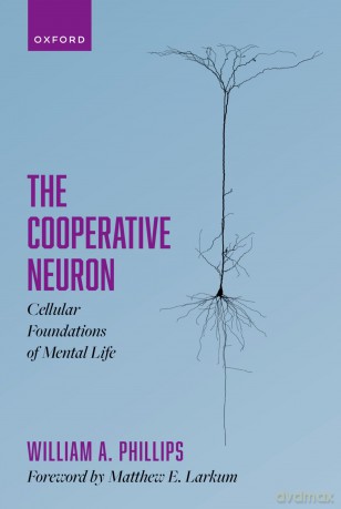 Cooperative Neuron [KSIĄŻKA]