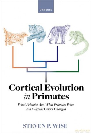 Cortical Evolution In Primates [KSIĄŻKA]
