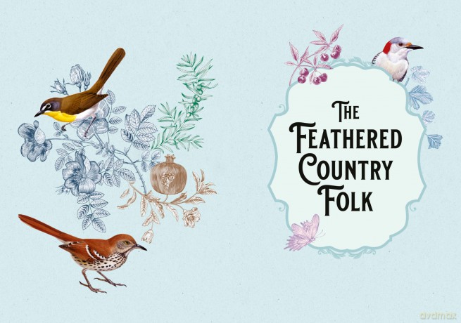 Country Bird - A Harrison Vinet [KSIĄŻKA]