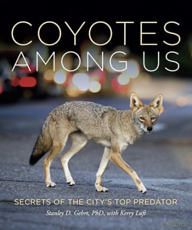Coyotes Among Us - S. D Ghert [KSIĄŻKA]