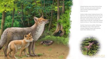 Coyotes Wild Home - Barbara Kingsolver [KSIĄŻKA]