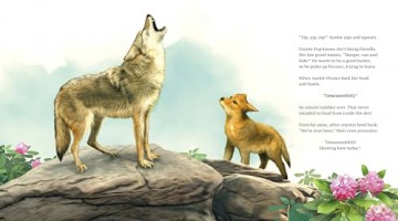 Coyotes Wild Home - Barbara Kingsolver [KSIĄŻKA]