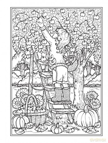 Creative Haven Autumn Harvest Coloring Book - Teresa Goodridge [KSIĄŻKA]