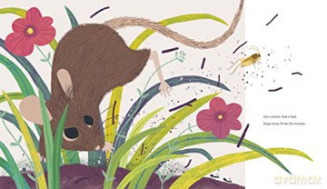 Creep Leap Crunch A Food Chain Story - Jody Jensen Shaffer [KSIĄŻKA]