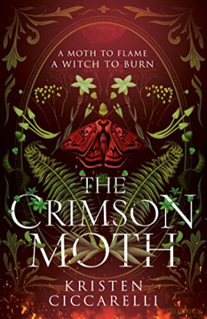Crimson Moth - Kristen Ciccarelli [KSIĄŻKA]