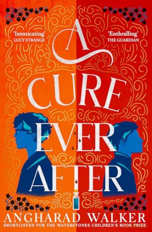 Cure Ever After - Angharad Walker [KSIĄŻKA]