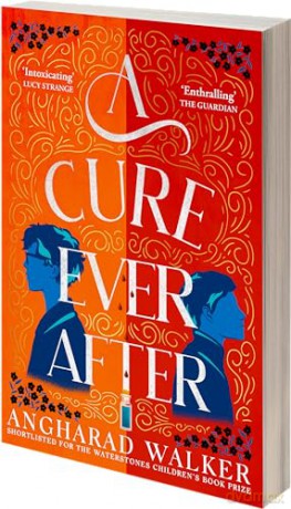 Cure Ever After - Angharad Walker [KSIĄŻKA]