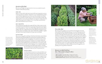 Cut Flower Handbook - Lisa M Ziegler [KSIĄŻKA]