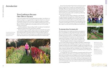 Cut Flower Handbook - Lisa M Ziegler [KSIĄŻKA]