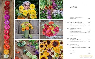 Cut Flower Handbook - Lisa M Ziegler [KSIĄŻKA]