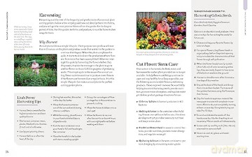 Cut Flower Handbook - Lisa M Ziegler [KSIĄŻKA]