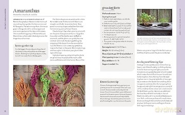 Cut Flower Handbook - Lisa M Ziegler [KSIĄŻKA]