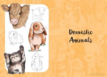 Cute Animals - Justine Lecouffe [KSIĄŻKA]