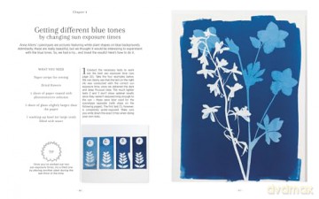 Cyanotype Workshop Techniques/Projects - Marie Venditteli [KSIĄŻKA]