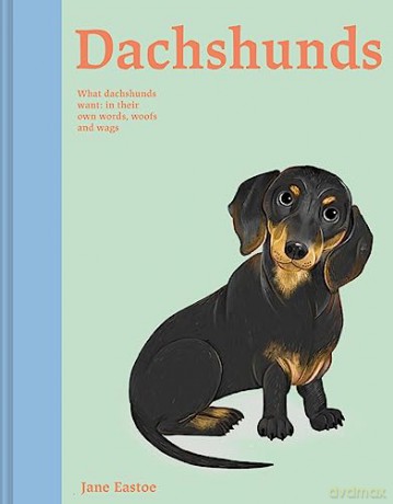 Dachshunds - Jane Estoe [KSIĄŻKA]
