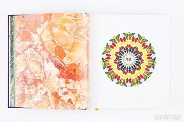 Damien Hirst The Complete Psalm - Michael Bracewe [KSIĄŻKA]