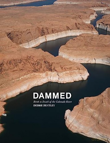 Dammed [KSIĄŻKA]