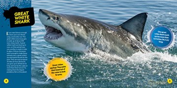 Deadliest Animals On The Planet - Jennifer Szymanski [KSIĄŻKA]