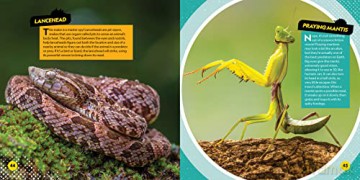 Deadliest Animals On The Planet - Jennifer Szymanski [KSIĄŻKA]