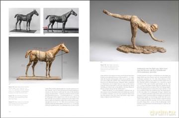 Degas Plasters - Gregory Hedberg [KSIĄŻKA]