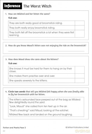Developing Reading Comprehension Skills - Kate Heap [KSIĄŻKA]