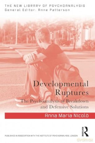 Developmental Ruptures - Anna Maria Nicol [KSIĄŻKA]