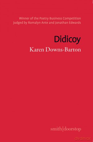 Didicoy - Karen Downs-Barton [KSIĄŻKA]